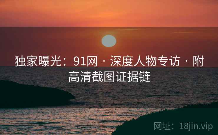 独家曝光：91网 · 深度人物专访 · 附高清截图证据链